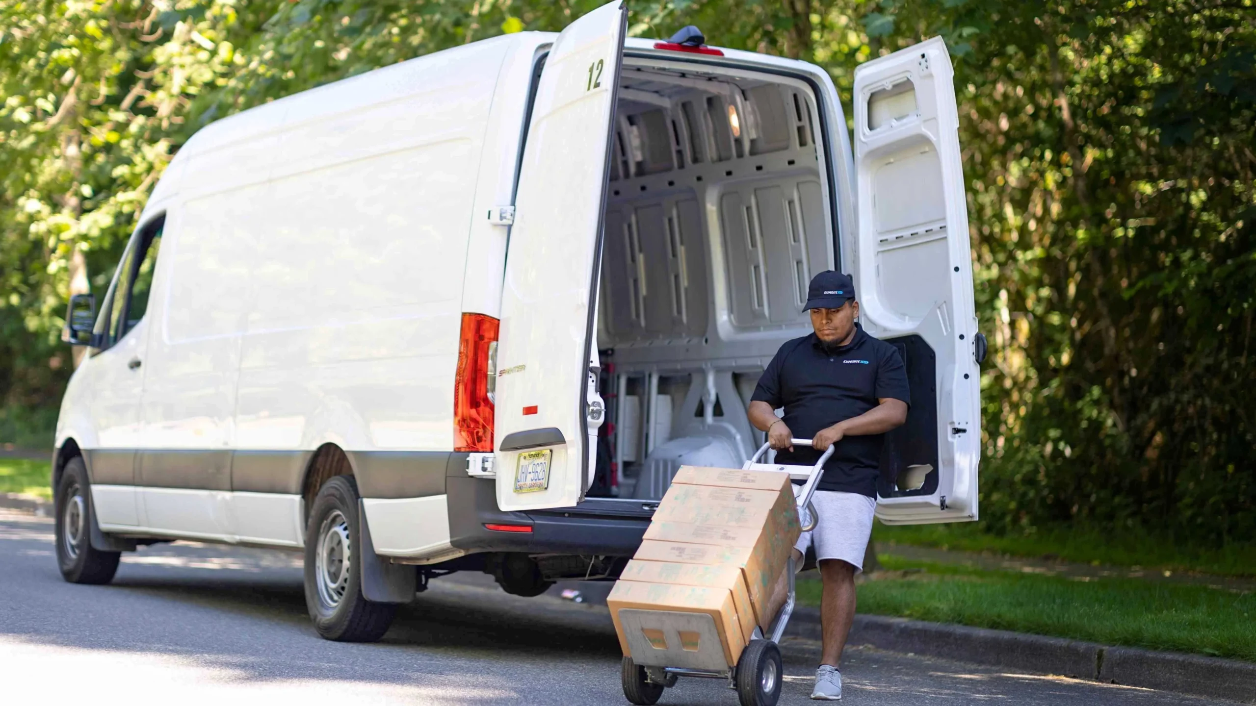 Sprint van, expedited shipping, cargo van